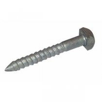 Screw Coach 3″ ( square head )