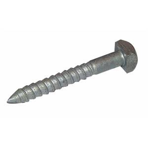 Screw Coach 3" ( square head )